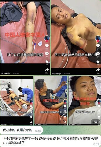 telegram-cloud-photo-size-5-6145324299468869503-x