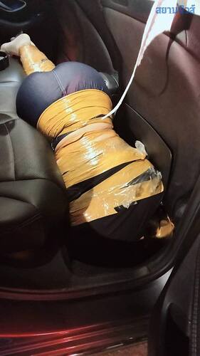 IMAGE 2026-01-12 22:38:21